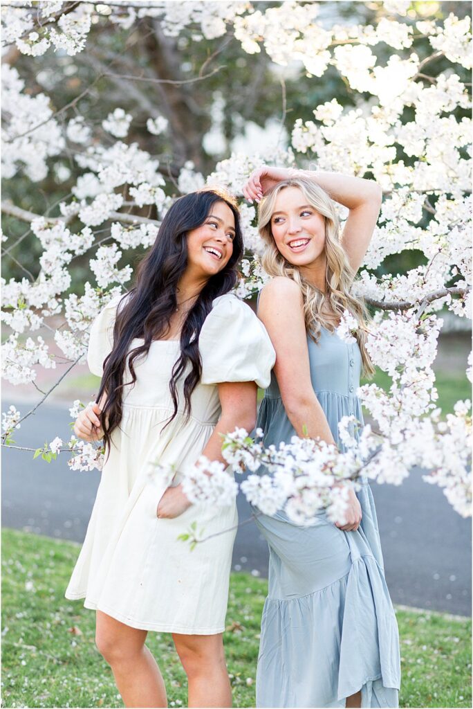 Keira and Ellen Stand together surrounded by pastel cherry blossoms during the spring senior portrait session
