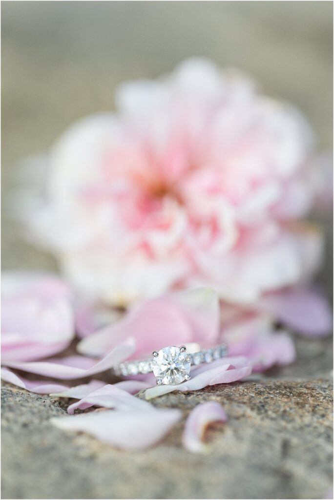 Olivia's engagement ring - blush flower behind it.