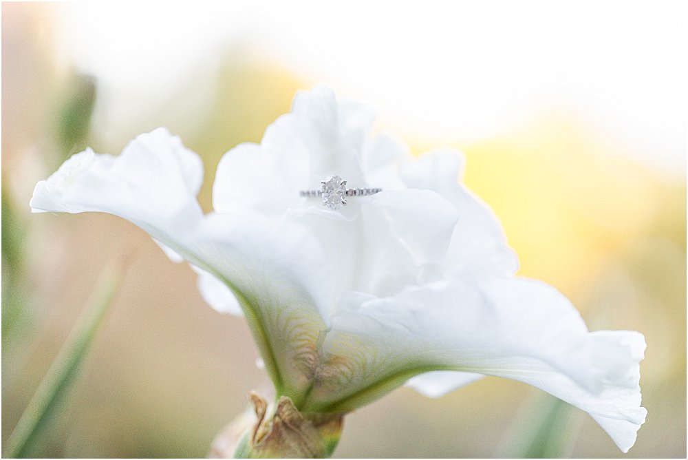 close up shot of Gabriella's engagement ring on a beautiful white bloom during classic engagement session at Maymont Park in Richmond, VA.